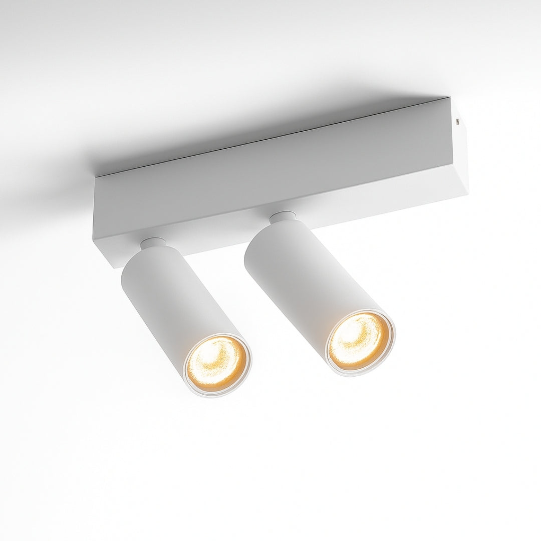 Lopal 2L surface -mounted spot