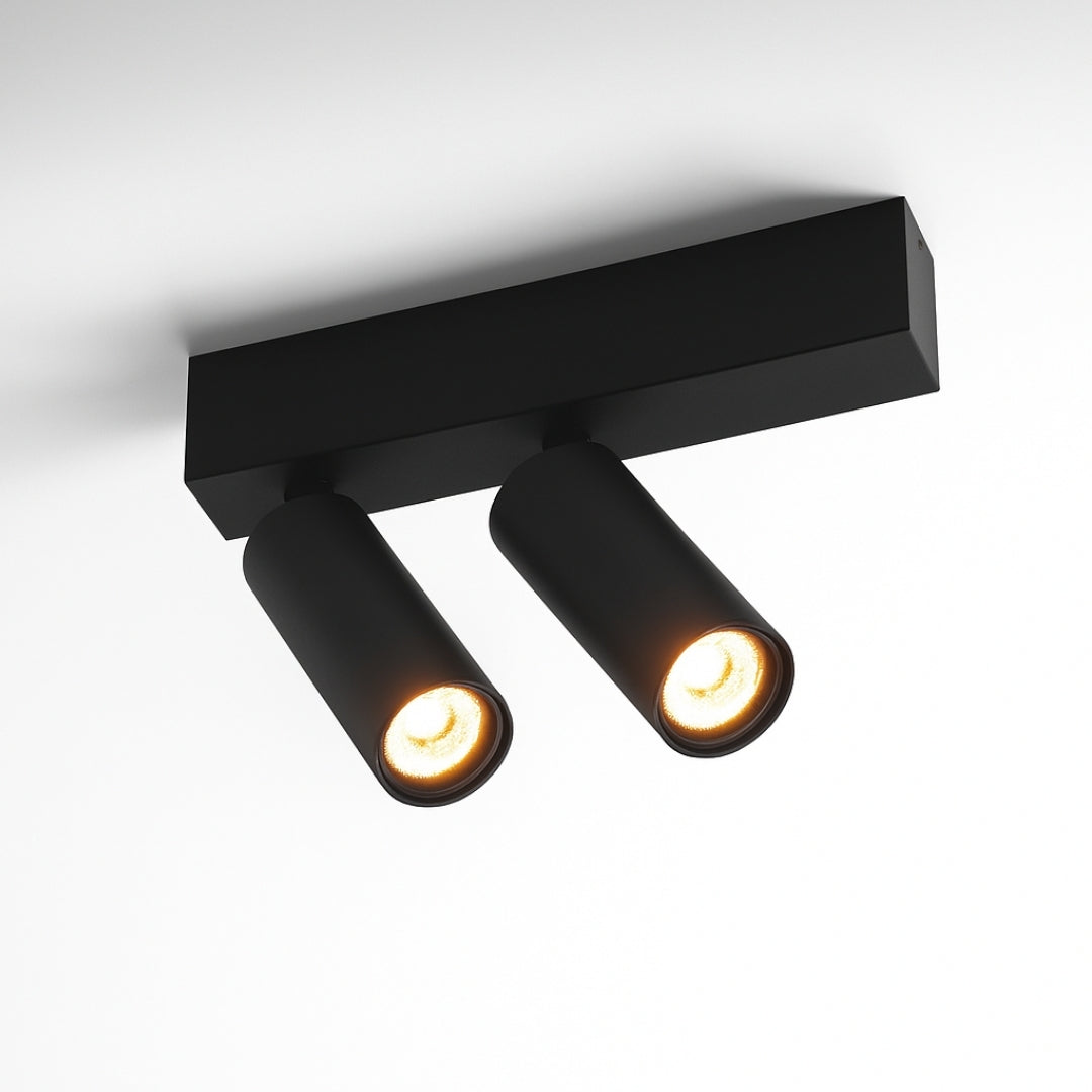 Lopal 2L surface -mounted spot