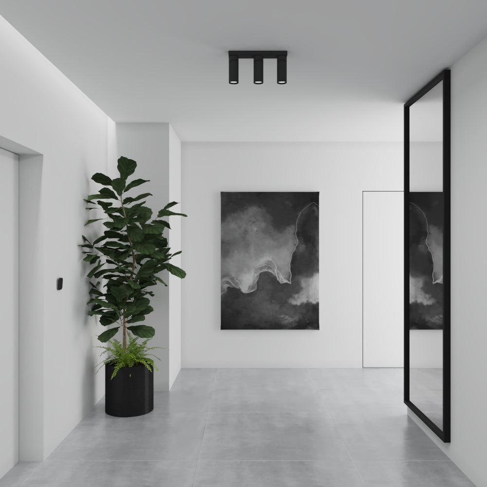 TRINEO surface mounted lighting
