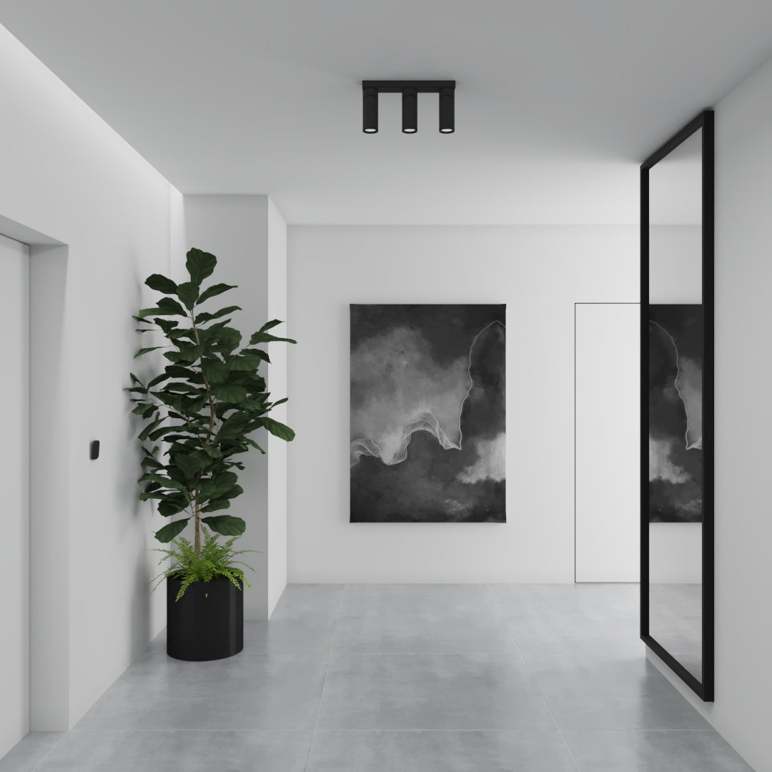 TRINEO surface mounted lighting